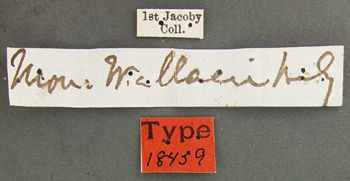 Media type: image; Entomology 18459   Aspect: labels